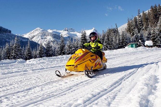 Family Snowmobile Tour in Whistler - Key Highlights You’ll Actually Feel on the Tour