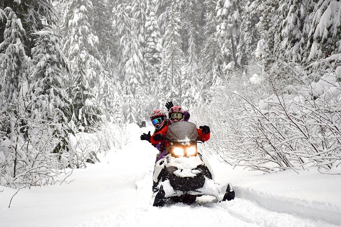 Family Snowmobile Tour in Whistler - Value and Logistics: What You Get for $201.56