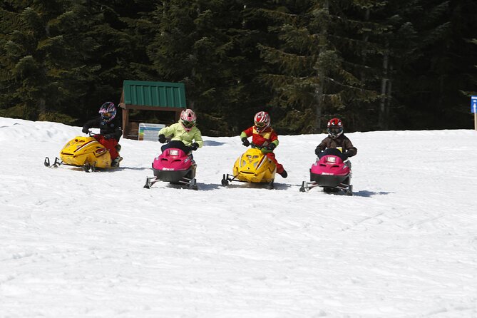 Family Snowmobile Tour in Whistler - Who This Tour Fits Best (and Who Might Want to Skip It)