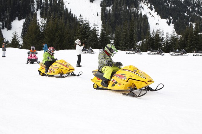 Family Snowmobile Tour in Whistler - Where the Tour Starts: Brandywine Base Check-In Without the Fuss