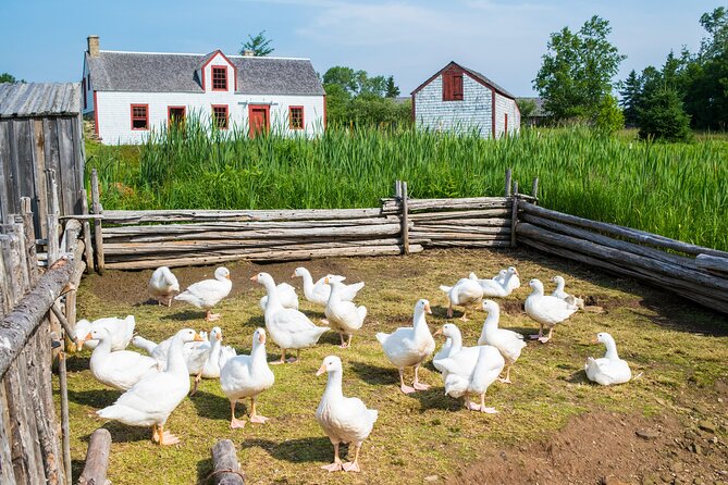 Family visit to the Acadian Historic Village - 4 to 6 Hours: How to Pace It Without Feeling Rushed