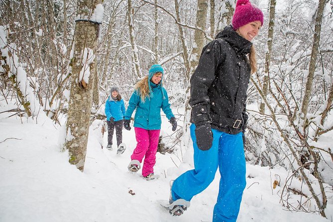 Fire Man Guided Snowshoe Tour in Mont-Tremblant - Wildlife Tracks and What You Might Spot in the Snow