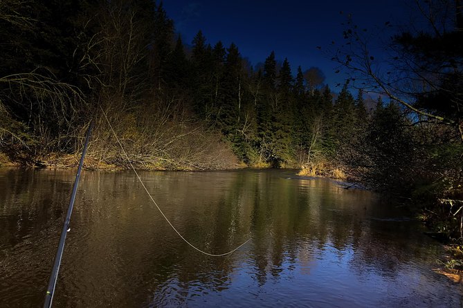 Fly Fishing Guided Experiences - Key highlights that matter