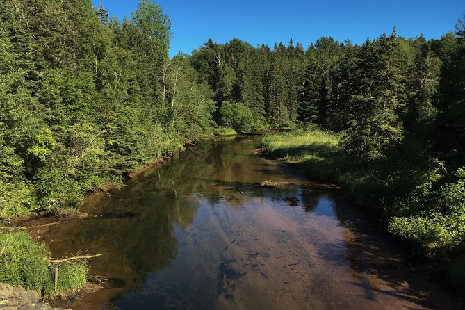 Fly Fishing Guided Experiences - Fly Fishing on PEI Works Best When You Stop Guessing
