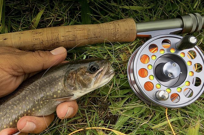 Fly Fishing Guided Experiences - At the water: how Craig guides your cast and your placement