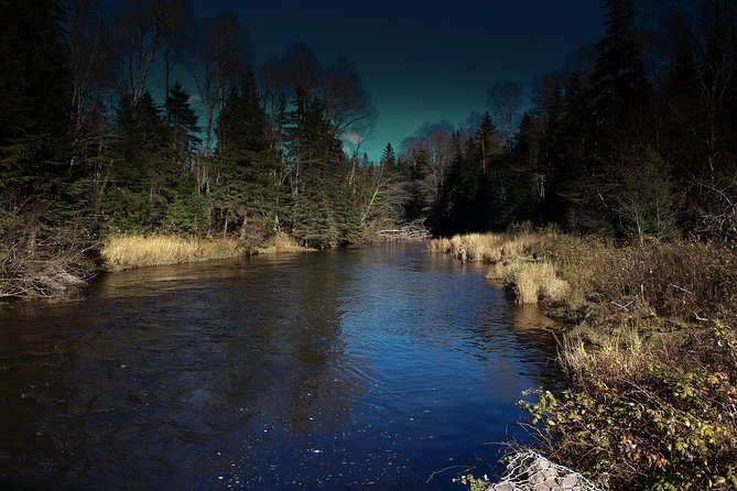 Fly Fishing Guided Experiences - Price and value for a 4-hour private guided day