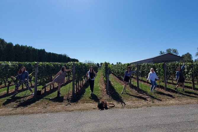 Fraser Valley Wine Tour from Vancouver with a Light Lunch - The lunch: what light lunch means in real life