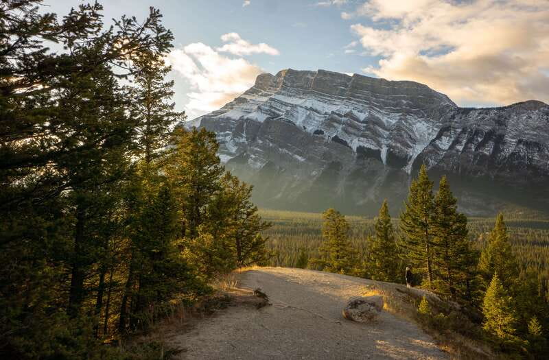 From Banff: Banff Wildlife & Scenic Highlights Premium Tour - A 3-hour dusk safari built around wildlife corridors