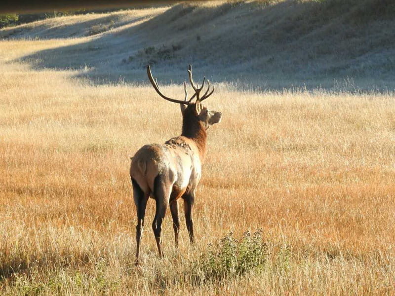 From Banff/Canmore: Deep 1 Day Tour in Banff National Park - Getting There Comfortably, and What the Small-Group Feel Changes