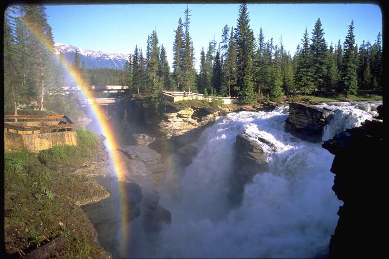 From Banff/Lake Louise: 1-Way Sightseeing Tour to Jasper - Athabasca Glacier adventure and Glacier Skywalk: the headliner portion