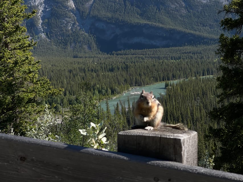 From Banff: Moraine Lake and Lake Louise Half Day Tour - Who This Tour Fits Best in Banff