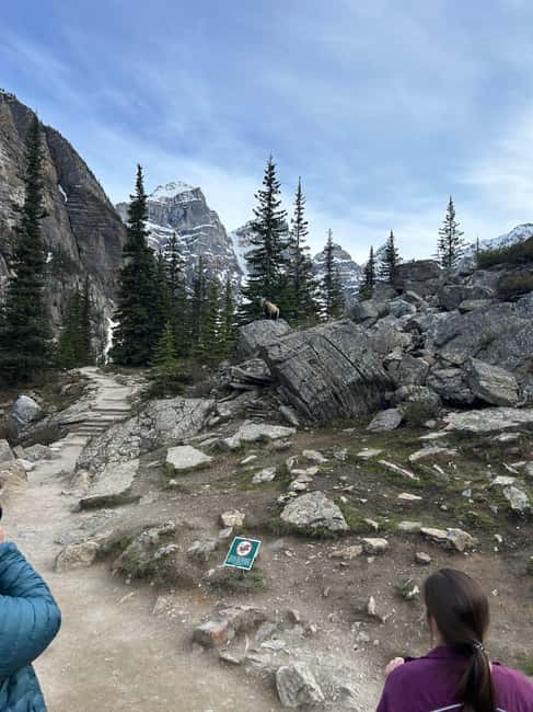 From Calgary/Banff: Moraine Lake & Lake Louise Half-Day Tour - Guides and Group Size: What You’ll Notice First