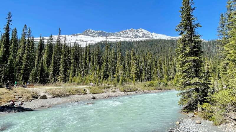 From Calgary: Banff & Yoho National Parks Private Day Tour - Banff Town views: more than just a passing stop