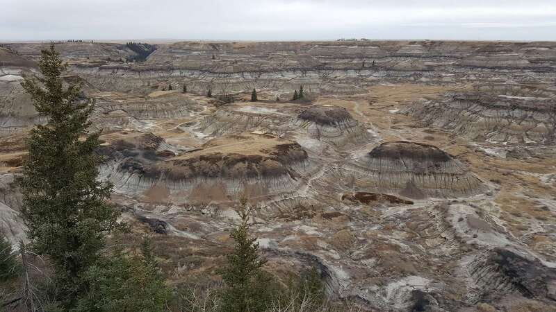 From Calgary: Canadian Badlands Private Geological Tour - A Quick Reality Check Before You Book