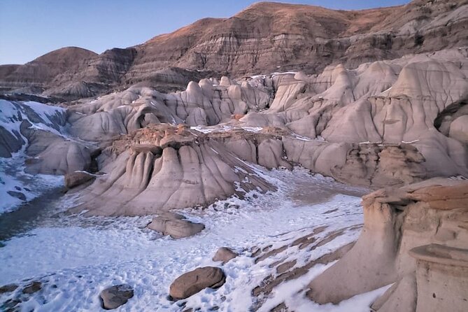 From Calgary: Drumheller Badlands Private Tour (Small Group) - Royal Tyrrell Museum: fossil fans, families, and lunch