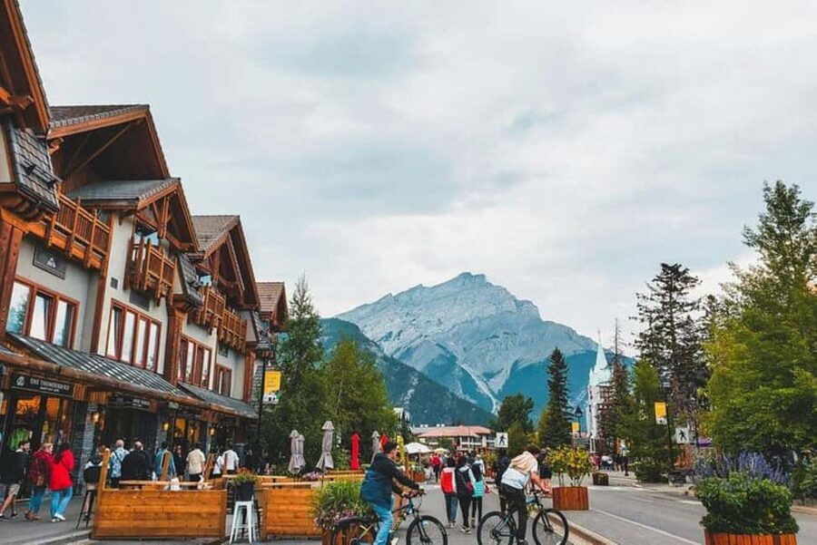 From Calgary: Explore 4 Stunning Lakes in Banff & Yoho - Peyto Lake: glacier-fed color and a viewpoint made for pictures