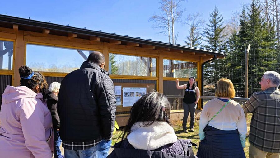 From Calgary to Banff: Day Trip with Wolfdog Sanctuary Visit - Wolfdog Sanctuary Tour, Learn the Rescue Stories Before You Stroll