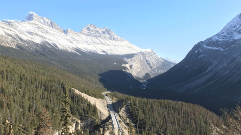 From Canmore/Banff: Icefields Parkway Experience - Lunch and Viewpoints: The Midday Rhythm