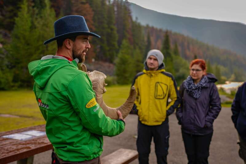 From Jasper: Jasper National Park Wildlife Discovery Tour - Key points to know before you book