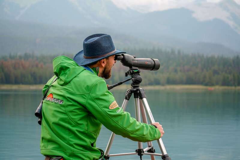 From Jasper: Jasper National Park Wildlife Discovery Tour - 3.5 Hours in Jasper National Park, Without the Guesswork