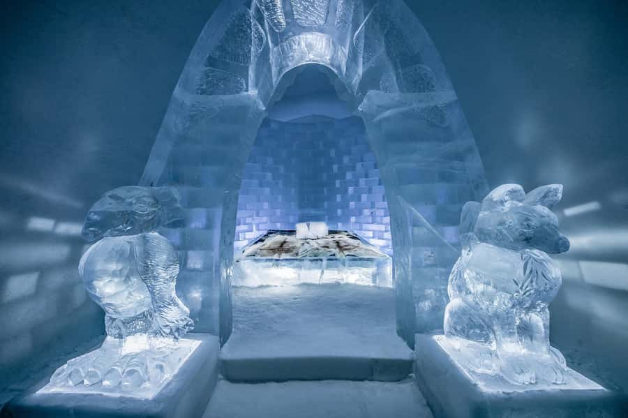 From Montreal: Full-Day Tour of Quebec City with Cruise - Price and value: what $120 buys you, and who it fits best