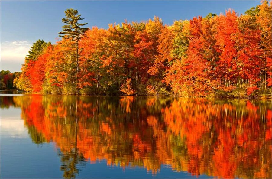 From Montréal: Mont-Tremblant 1-Day Tour - Mont Tremblant by panoramic gondola, the Little Banff feel