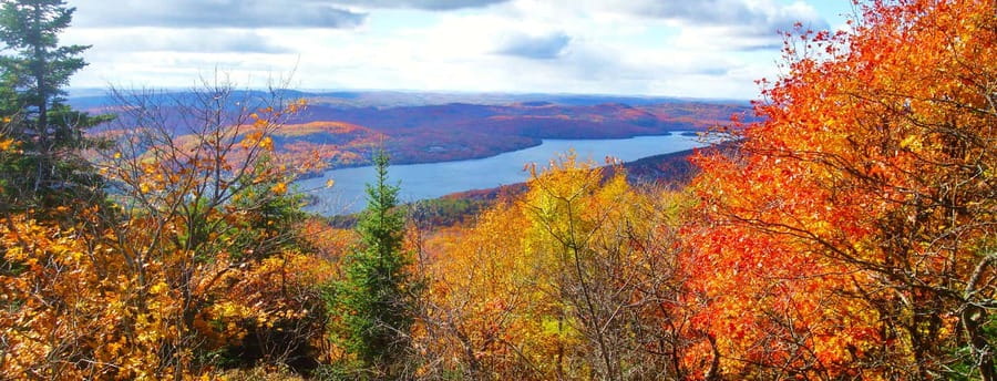 From Montréal: Mont-Tremblant 1-Day Tour - Who this tour suits best, and who should think twice