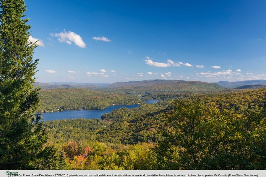 From Montreal: Mont-Tremblant National Park Hiking Day Trip - Picnic lunch, wildlife moments, and what to pack