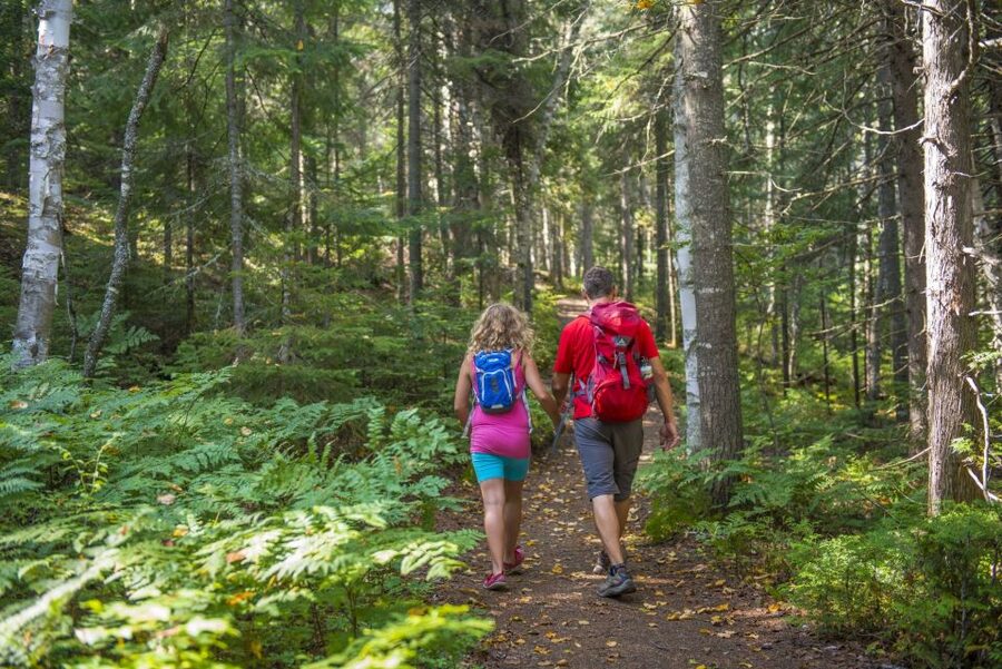 From Montreal: Mont-Tremblant National Park Hiking Day Trip - Price and logistics: is the $72 tag fair for this day?
