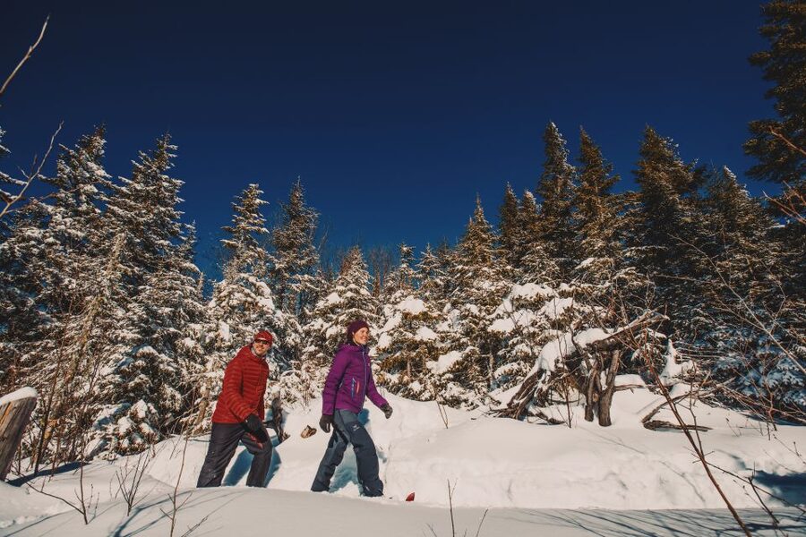 From Montreal: Mont-Tremblant National Park Hiking Day Trip - Who should book, and who should skip this one