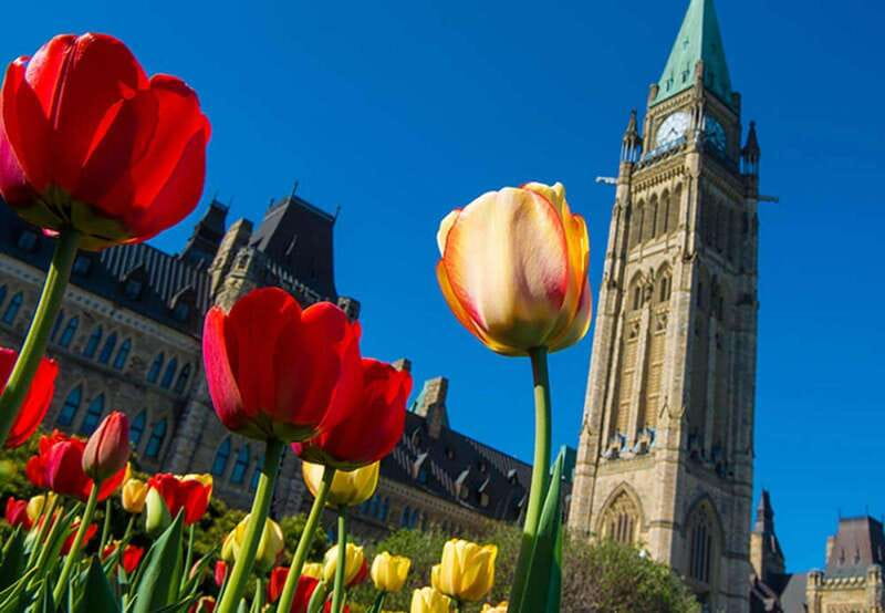 From Montreal: Private Ottawa Full Day Tour - The drive: 3 hours out of Montreal and into Ontario country