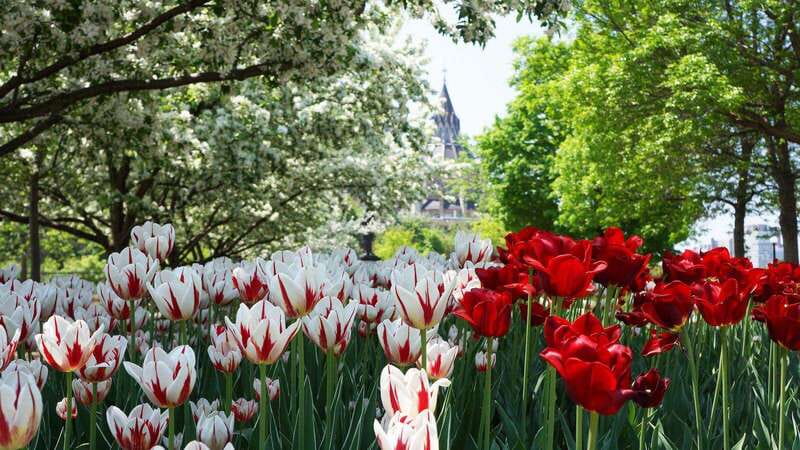 From Montreal: Private Ottawa Full Day Tour - The real value of the private SUV/Jeep pickup