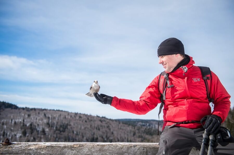 From Montreal: Sept-Chutes Regional Park Hike - Who this tour suits best, and who should skip it