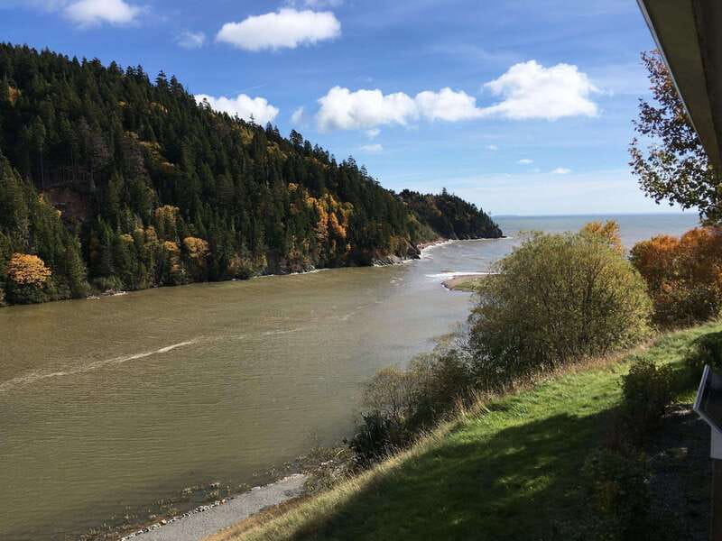 From Saint John: Bay of Fundy Bus Trip for Cruise Passengers - Why This Saint John to Fundy Bus Day Feels Worth It