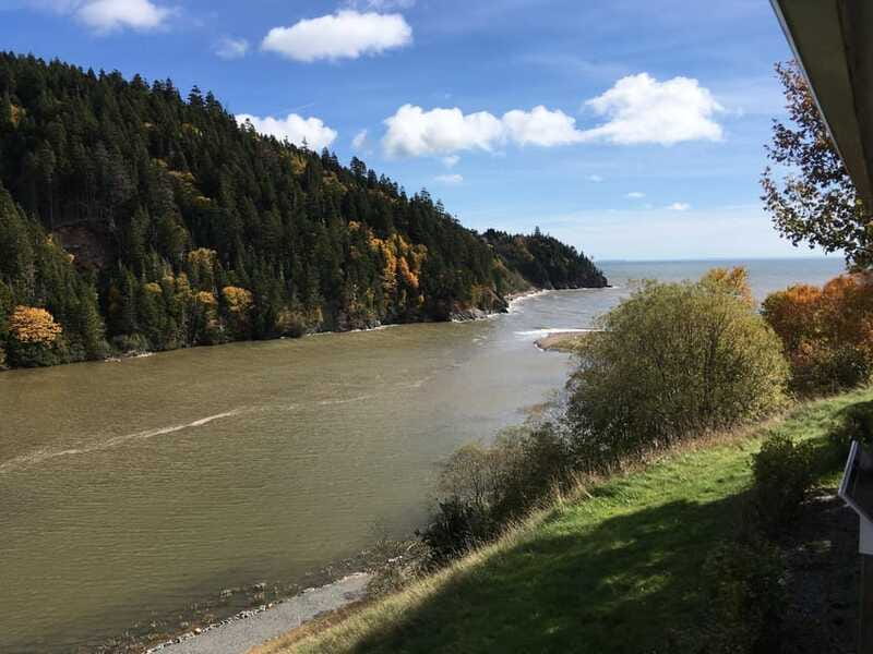 From Saint John: Bay of Fundy Bus Trip for Cruise Passengers - Reversing Falls Rapids: The Roar You Need to Hear Up Close