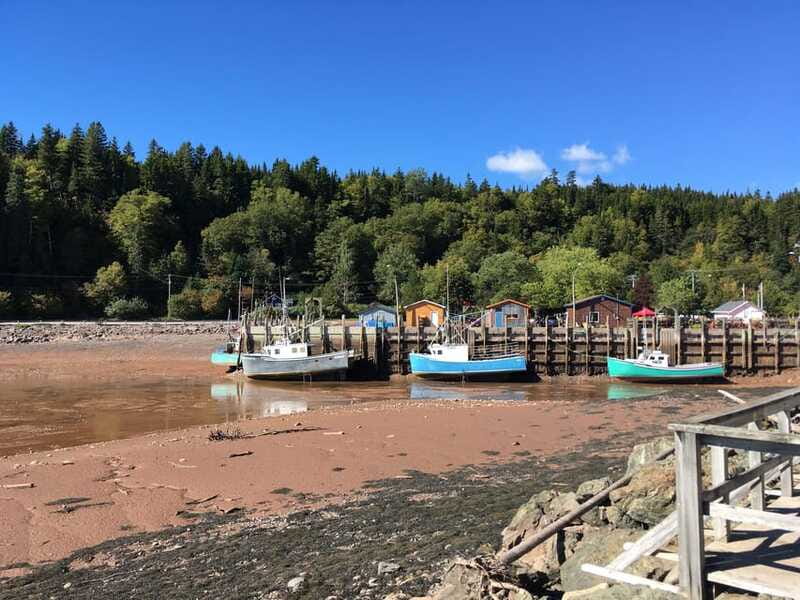 From Saint John: Bay of Fundy Bus Trip for Cruise Passengers - Carleton Martello Tower: A Quick Walk Through WWII Canada