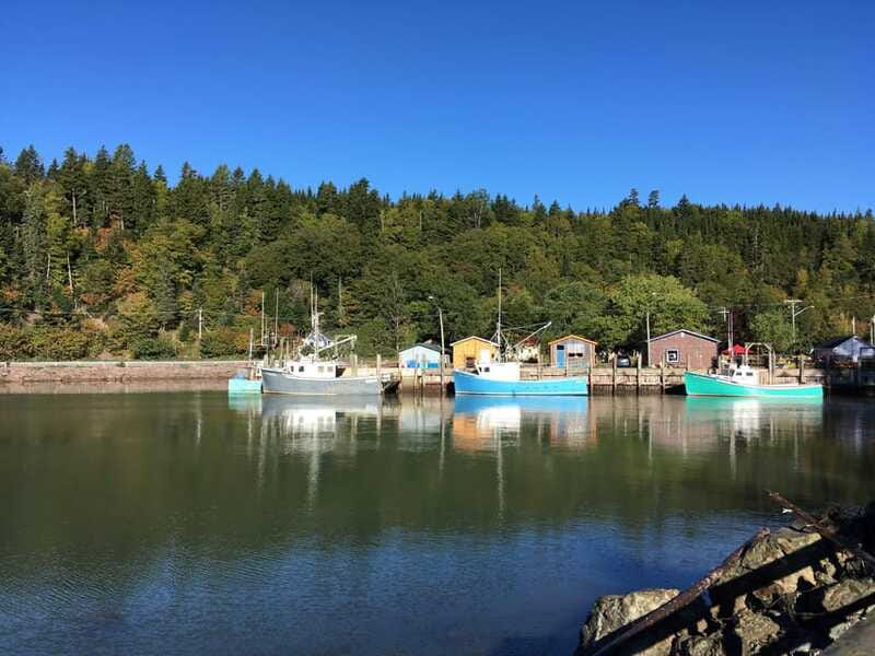 From Saint John: Bay of Fundy Bus Trip for Cruise Passengers - The Bay of Fundy: 4 Hours to See Tides, Rock Formations, and Coastal Drama