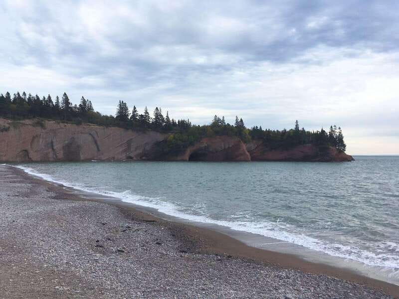 From Saint John: Bay of Fundy Bus Trip for Cruise Passengers - Guides Matter: Why Steve, Abdul, and Eddie Show Up Again and Again