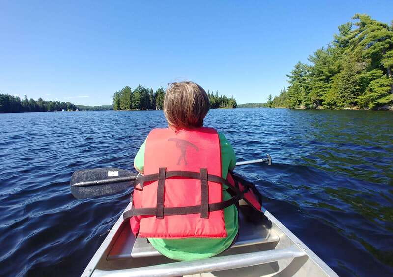 From Toronto: Algonquin Park Canoeing & Hiking Adventure - Price and Value: What $179 Gets You (And What It Does Not)