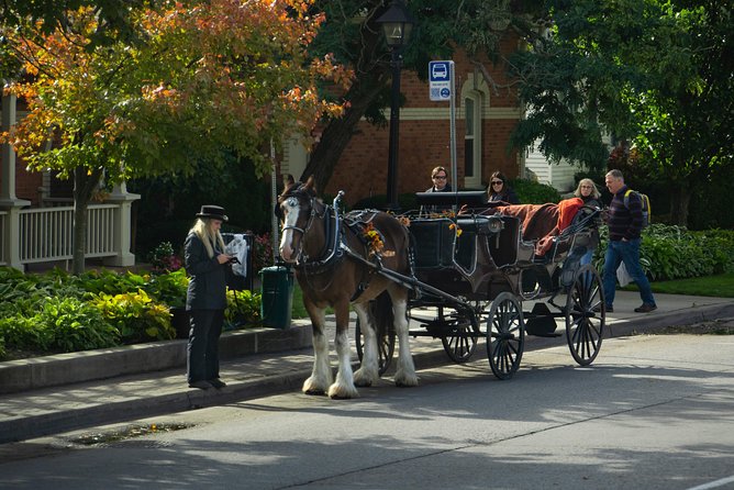 FROM TORONTO: Niagara Day Tour w/ Niagara on the Lake & Boat Ride - Niagara River Parkway drive, plus the “scenery with context” factor