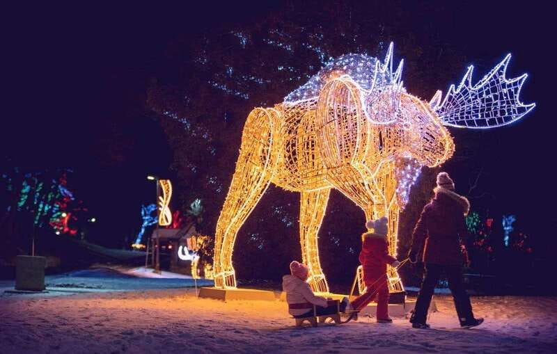 From Toronto: Winter Festival of Lights Niagara Falls Tour - Why this Toronto-to-Niagara night tour is a solid value