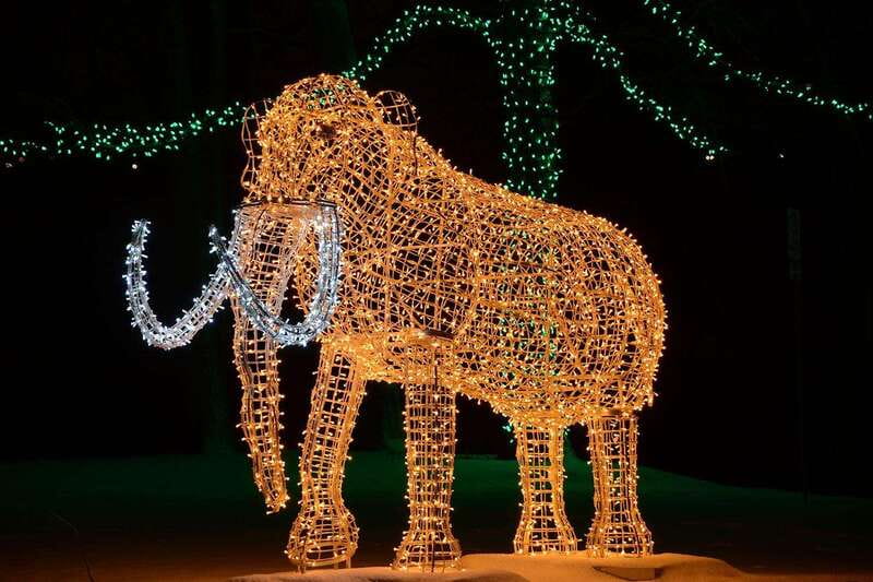 From Toronto: Winter Festival of Lights Niagara Falls Tour - Clifton Hill, Table Rock, and casino-area wandering