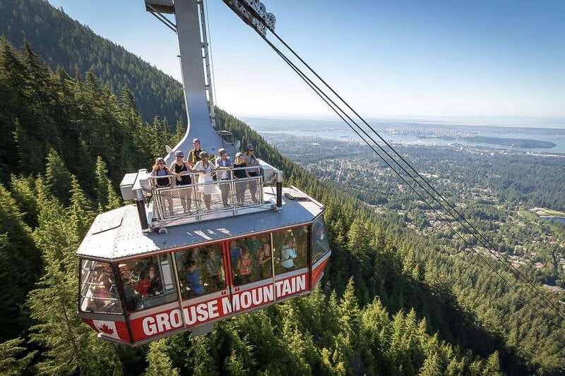 From Vancouver: Capilano Suspension Bridge & Grouse Mountain - Grouse Mountain at 3,700 Feet: Bears, Lumberjacks, and Real Mountain Views