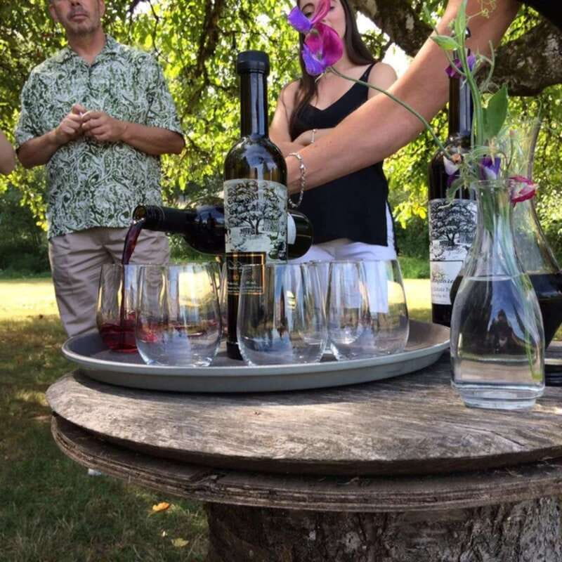 From Vancouver: Fraser Valley Wine Tour with Local Tastings - Price and value: what $131 buys you