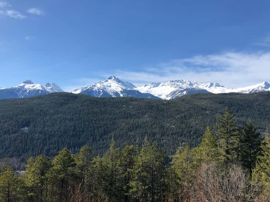 From Vancouver: Sea to Sky Gondola and Whistler Village Tour - Price and what $175 buys you on a Sea to Sky day