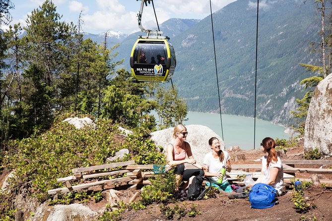 From Vancouver: Whistler & Sea to Sky Gondola with Shannon Falls - Shannon Falls Provincial Park near Squamish: the quick, punchy stop