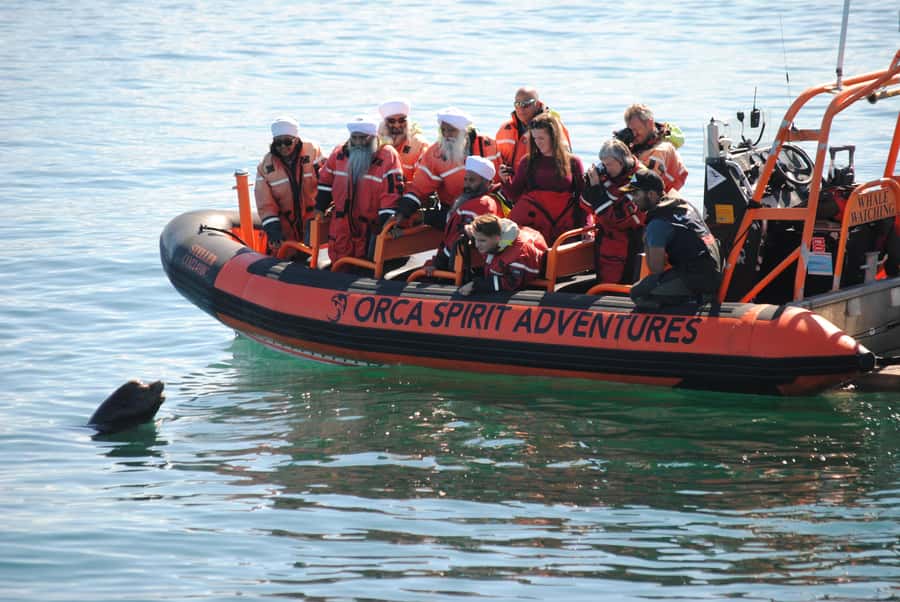 From Victoria: Whale Watching Marine Wildlife Excursion - Where you search: Juan de Fuca and Haro Strait wildlife country