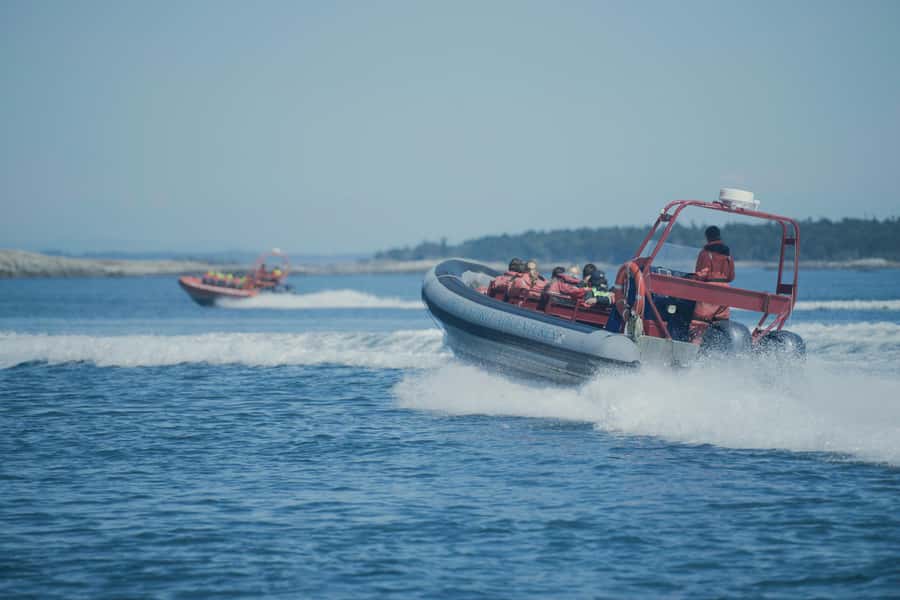 From Victoria: Whale Watching Marine Wildlife Excursion - Conservation fee: the $5 for coho and chinook salmon recovery
