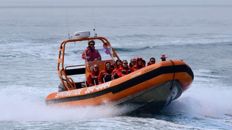 From Victoria: Whale Watching Tour by Zodiac Boat - Key things that make this Victoria whale watch worth it