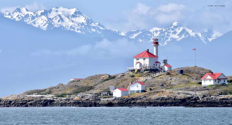 From Victoria: Whale Watching Tour by Zodiac Boat - The real price question: value in a 3-hour wildlife search